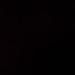 Meet your Posher, Evie